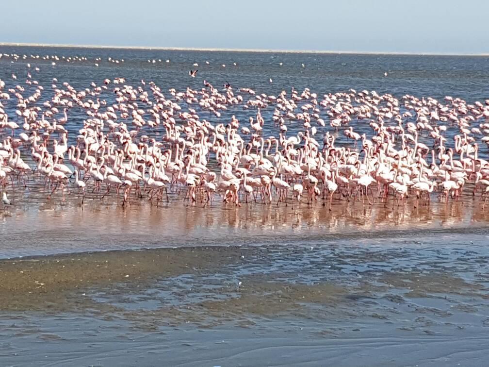 Elilo Bed&breakfast Walvis Bay Eksteriør billede
