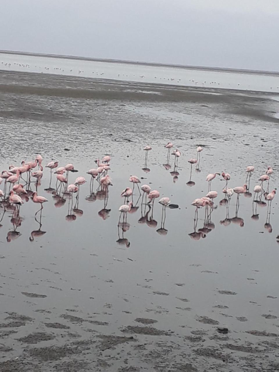 Elilo Bed&breakfast Walvis Bay Eksteriør billede